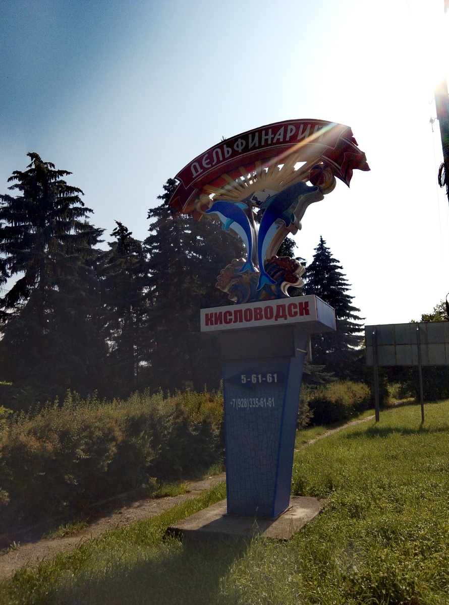 Кисловодск. Дельфинарий. Июнь 2025г.