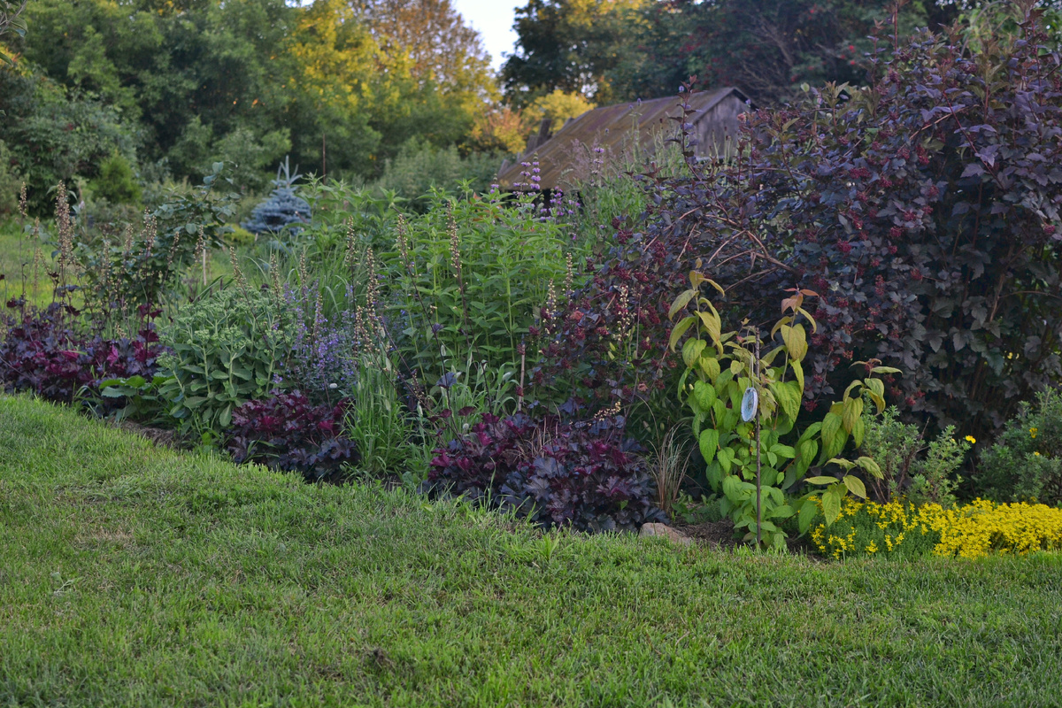 Обсуждаемый цветник