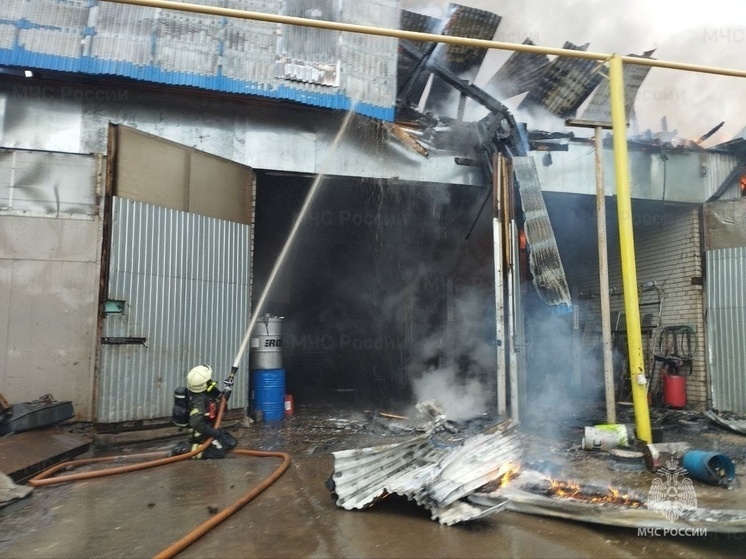     Фото пресс-службы регионального МЧС