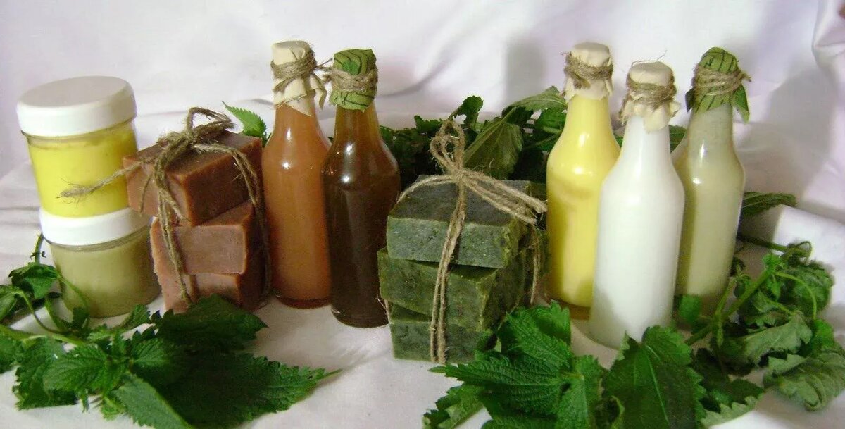 фото из интернета