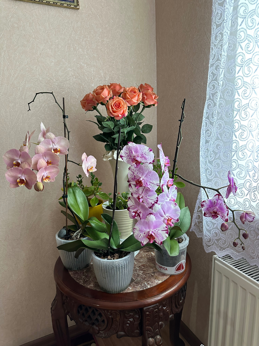 Моя небольшая коллекция