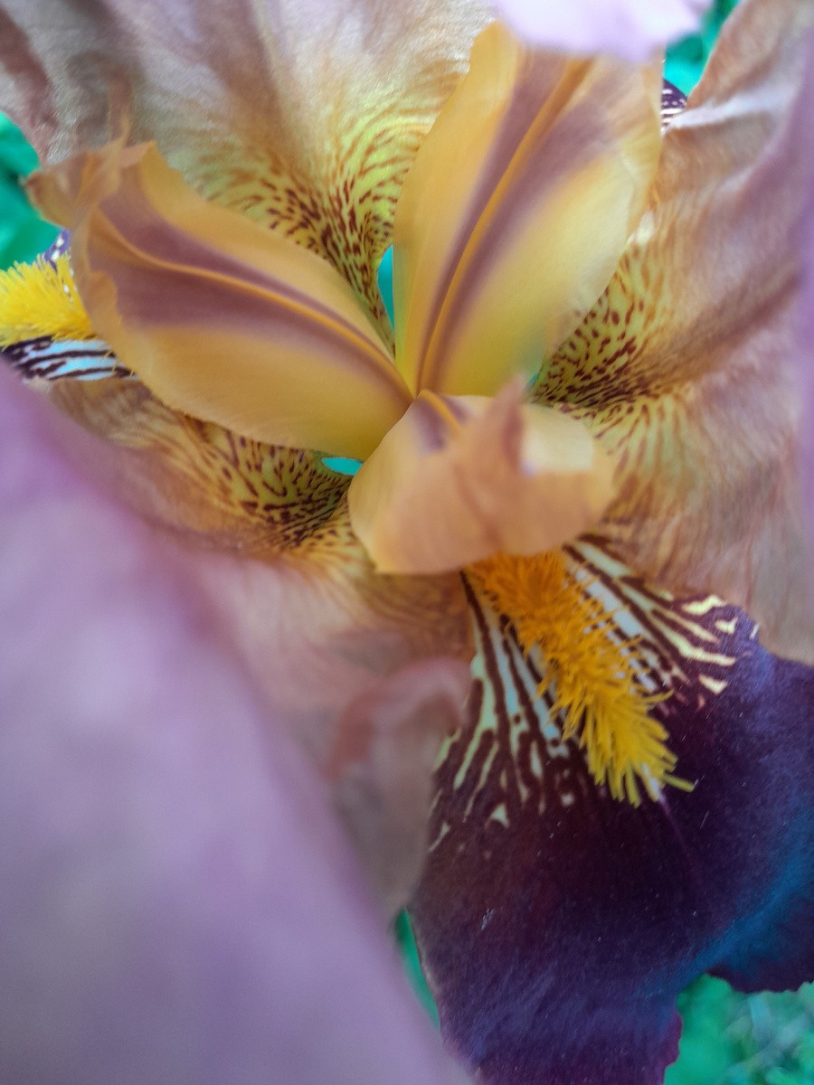 Фото автора.