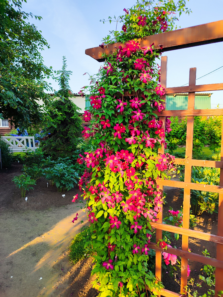 Мадам Джулия достала до неба