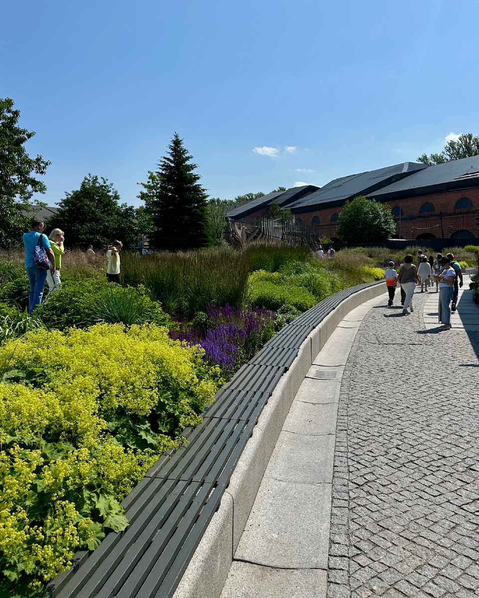 Кусочек травяного сада