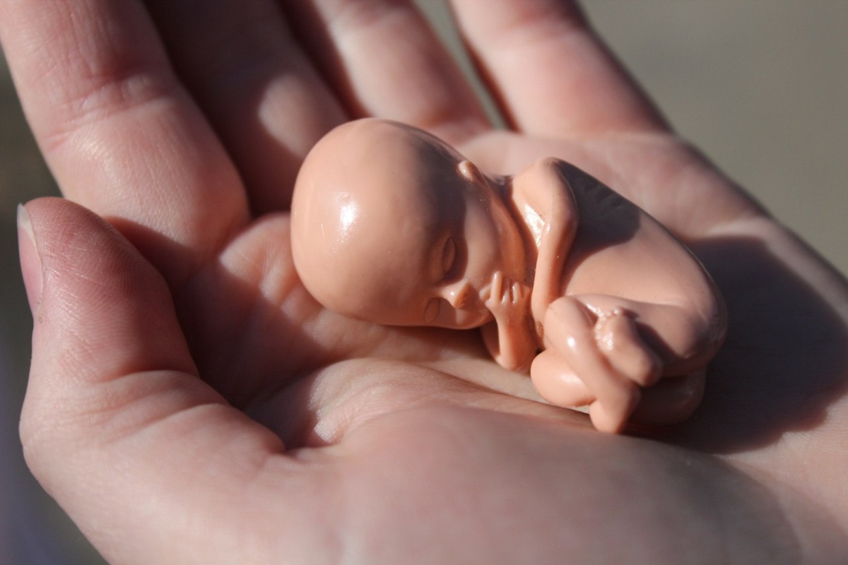 Источник фото: userapi.com