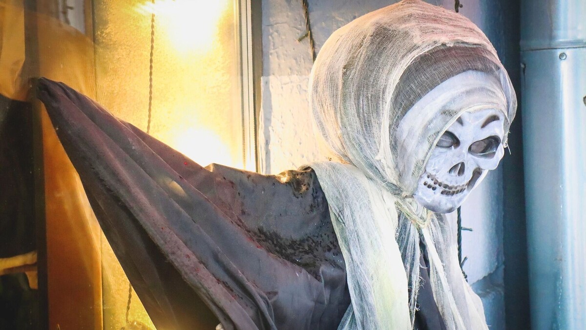     Источник: 1MI