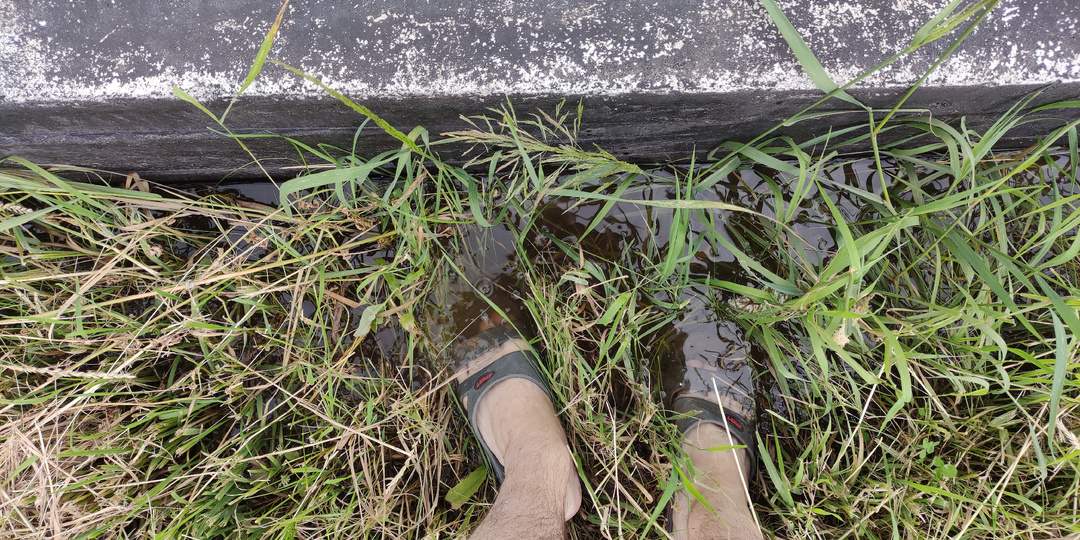 Предупреждал, а мне не верили: поставил забор - лишился дома. Почему так происходит?