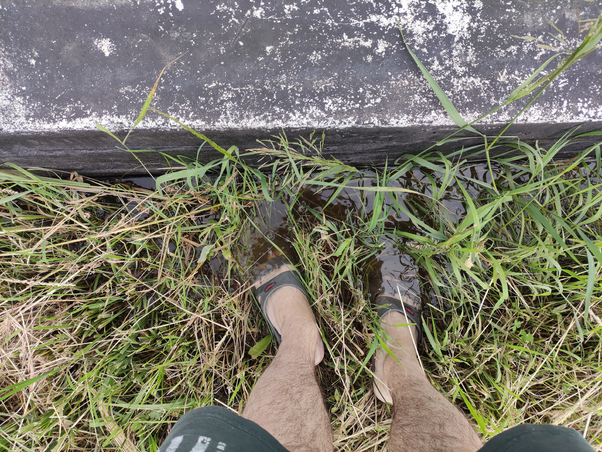 Фото автора, ноги со шлёпками тоже автора