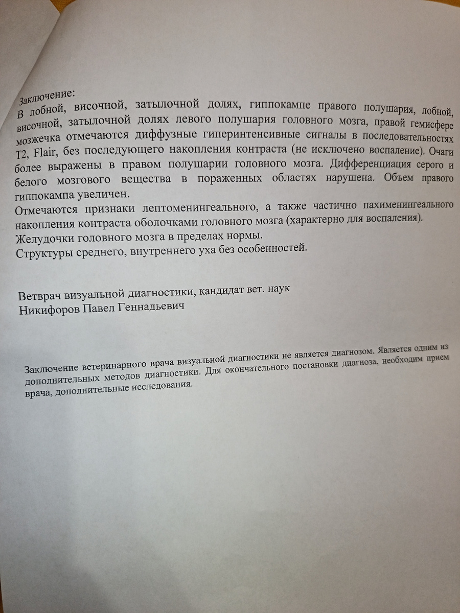 Заключение МРТ. 