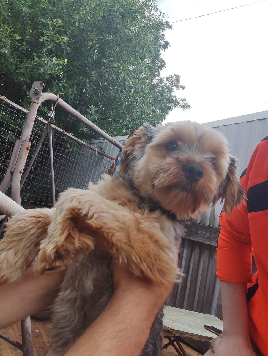 Мишка - это я!