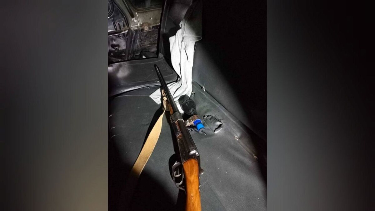    Фото: t.me/mpr_kk