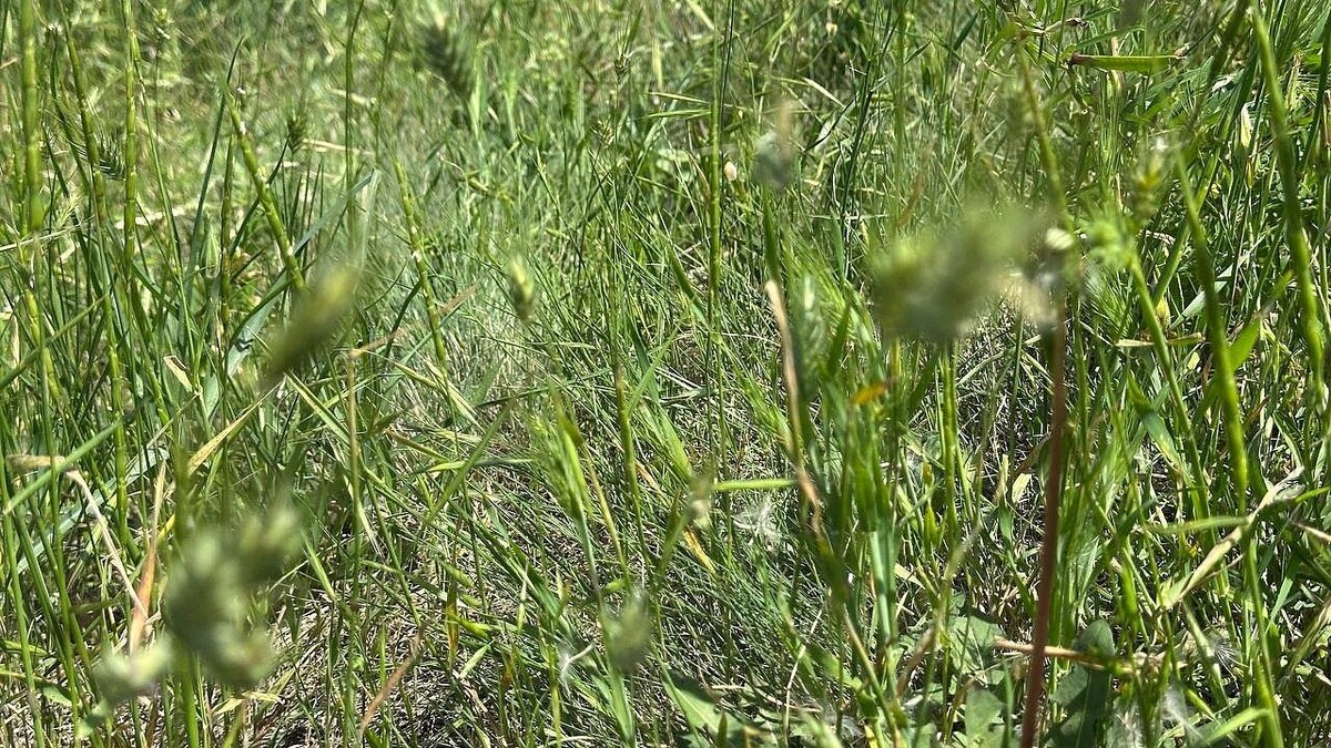    Фото: телеканал «Краснодар»