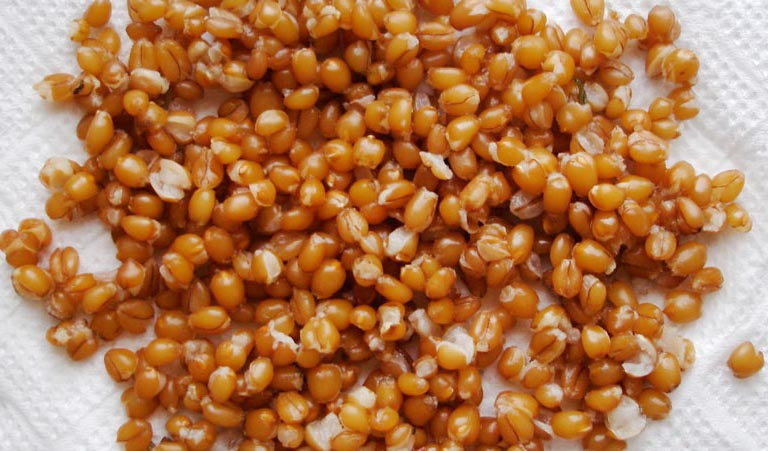 Фото с сайта: https://www.rybhoz-senezh.ru