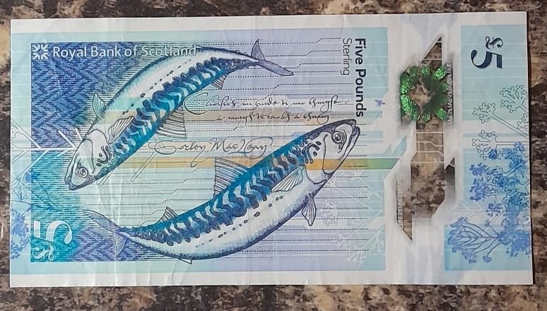 Фото из личного архива.