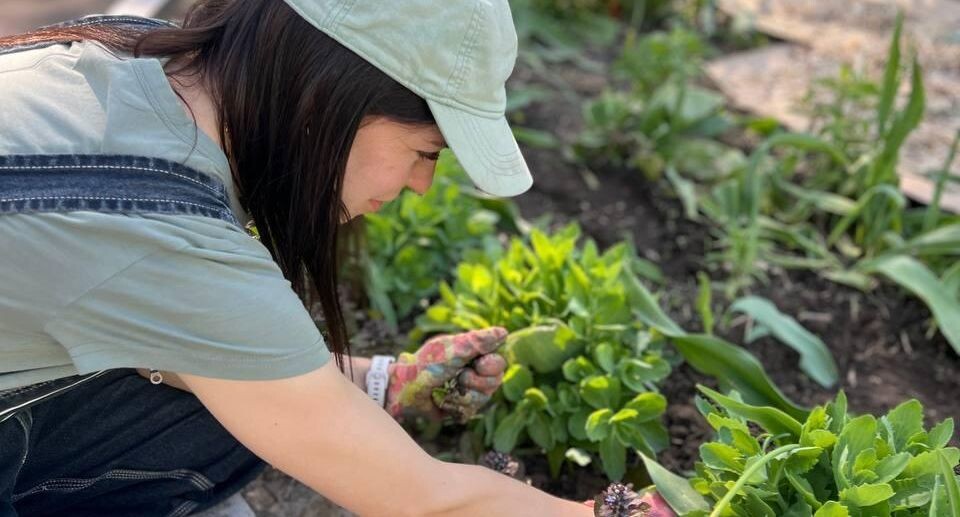    Пресс-служба МОДКТОБ (Кукушкина Елизавета)