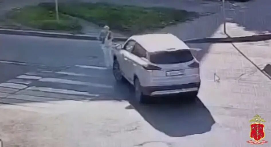    Фото: скриншот из видео пресс-службы ГУ МВД России по Петербургу и Ленобласти.