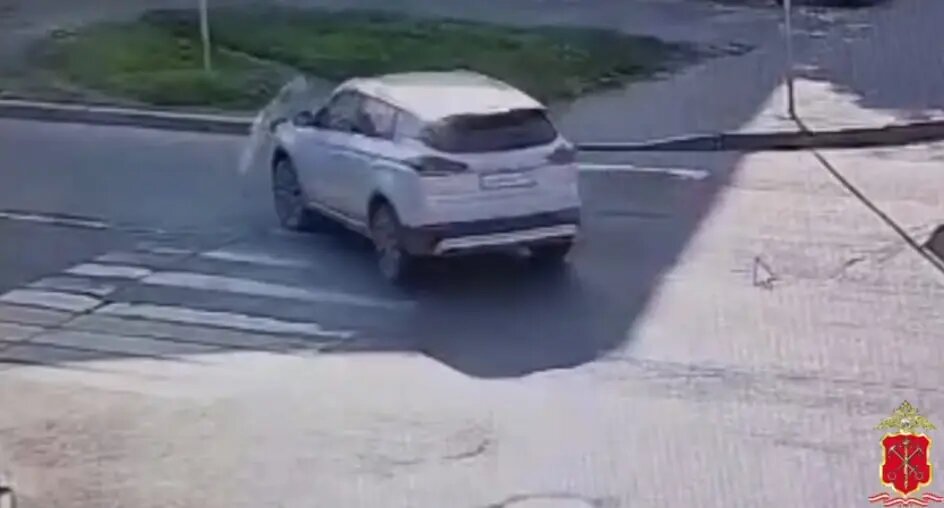    Фото: скриншот из видео пресс-службы ГУ МВД России по Петербургу и Ленобласти.