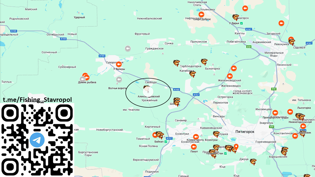 Платная рыбалка водоем "Александровский"