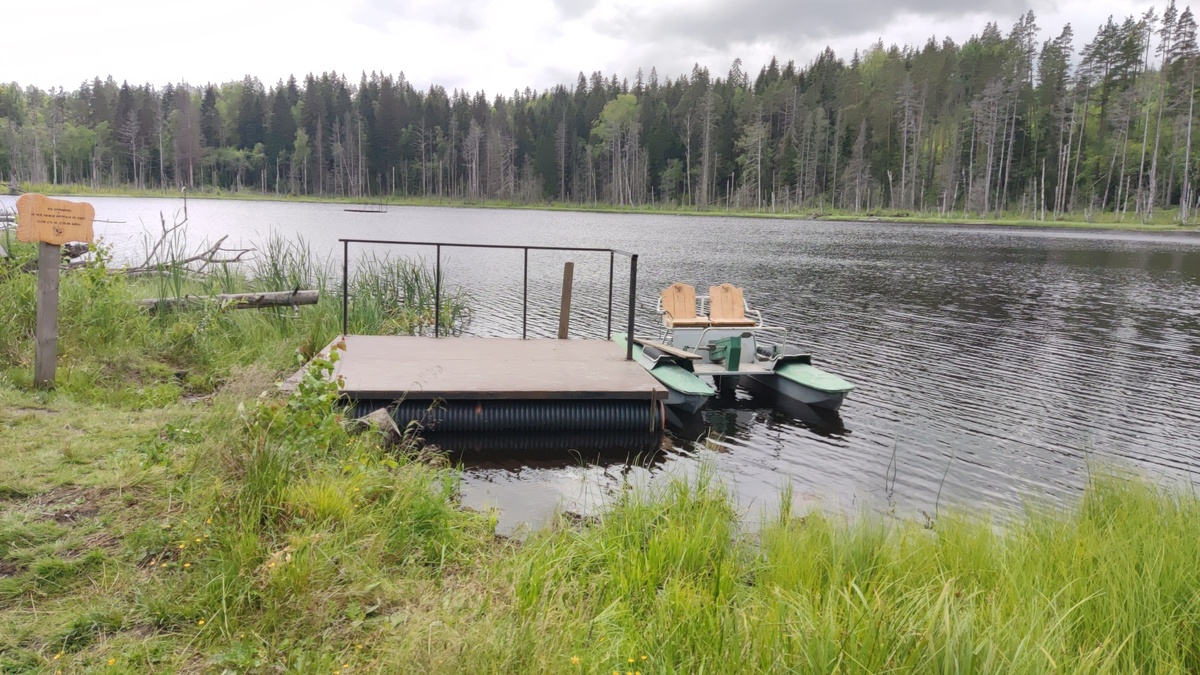 Фото автора