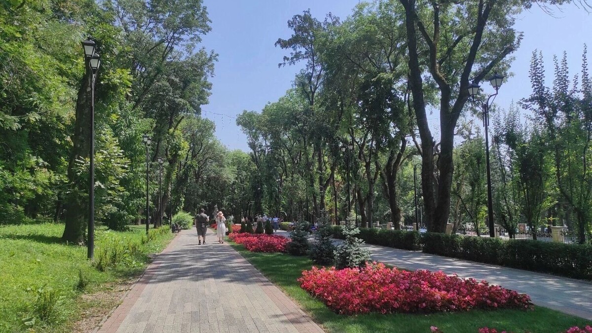     Источник: 1MI