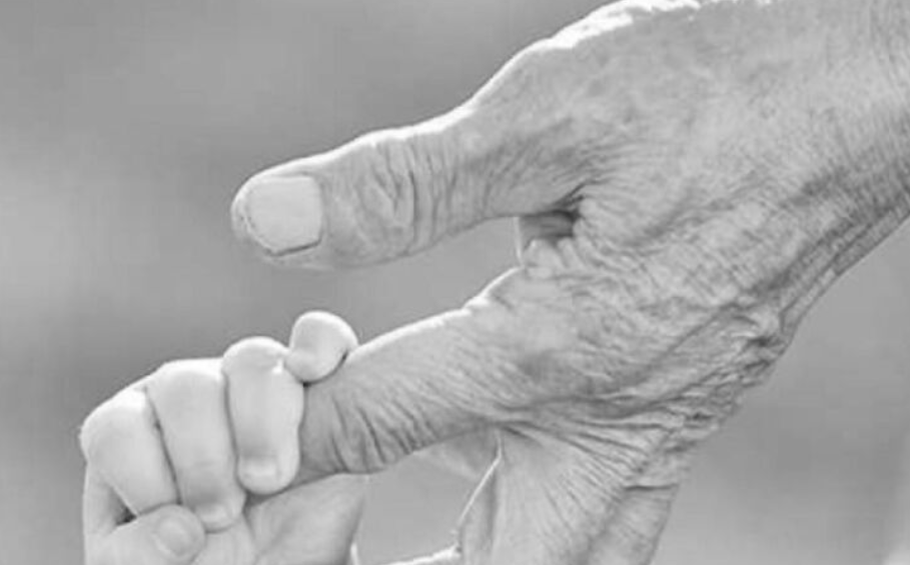 Фото: открытые источники