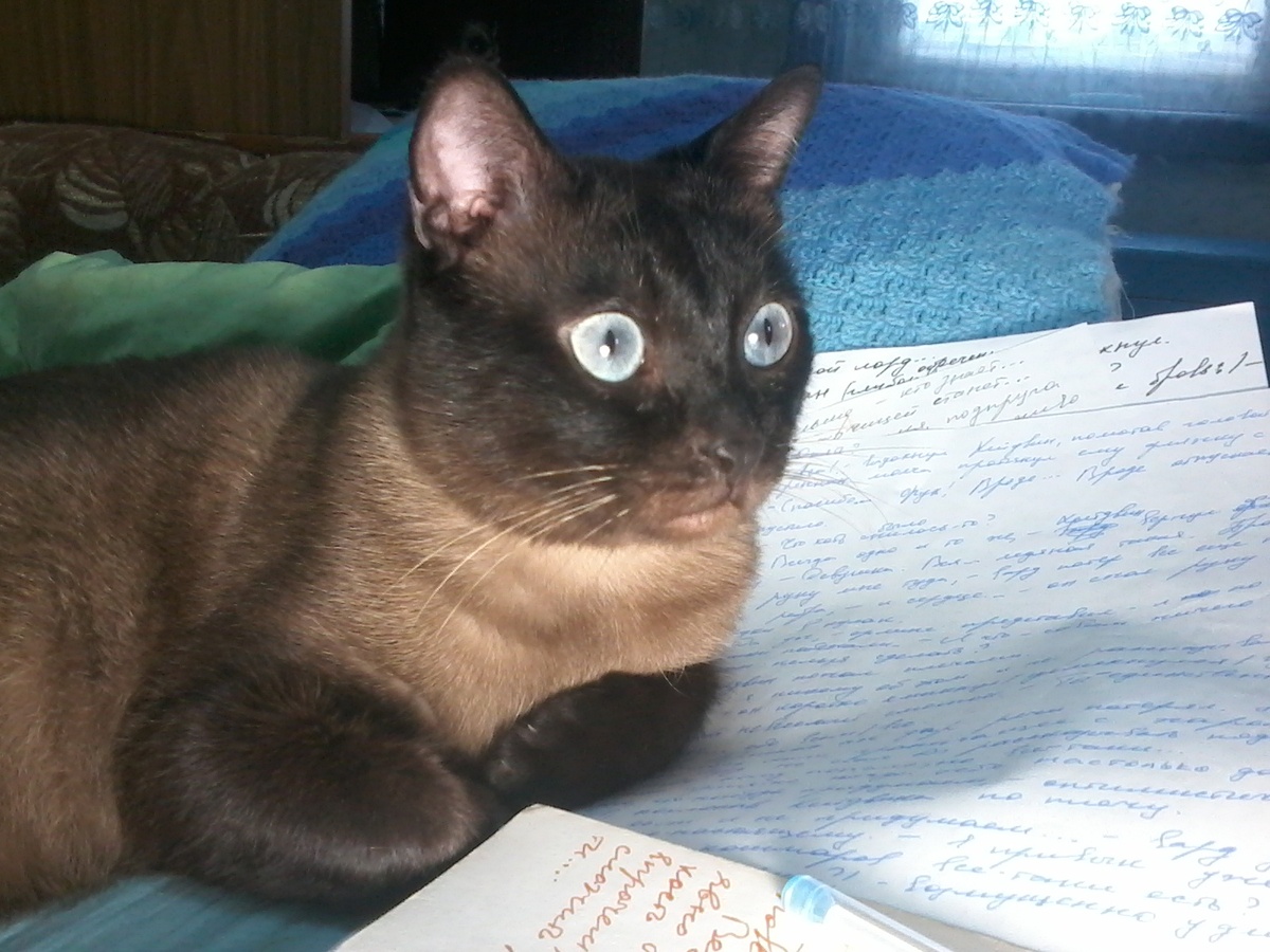 Изображение создано нейросетью