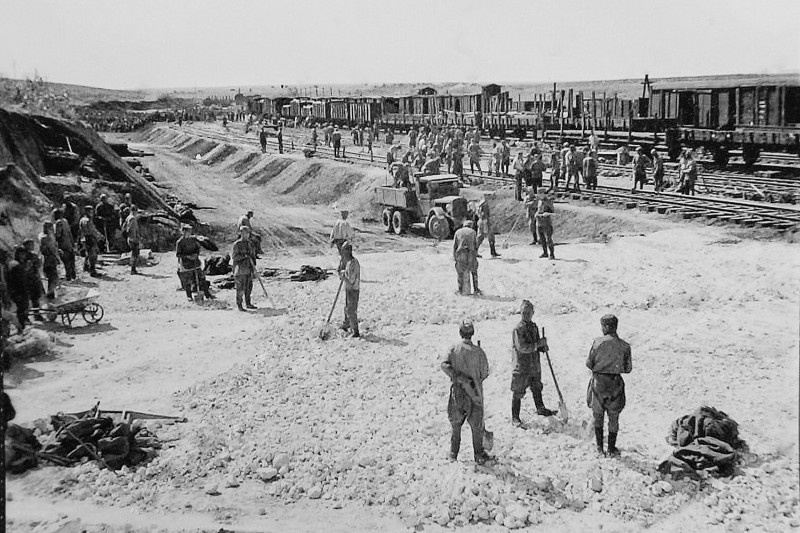 Какими были потери в концлагерях, организованных на территории Воронежской области?