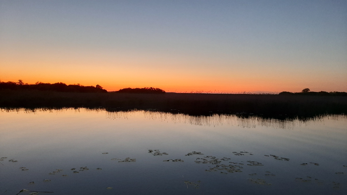 Затон Псковского озера. Около 11 часов вечера. Начало июня.