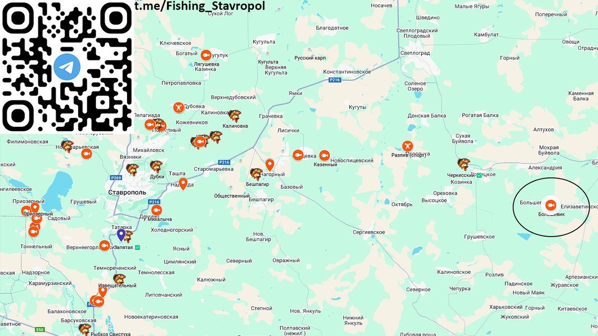 Платная рыбалка озере "Большевик"