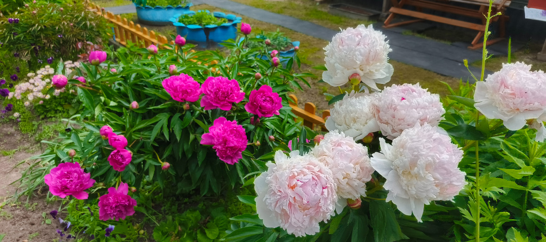 К нам пришли дожди.