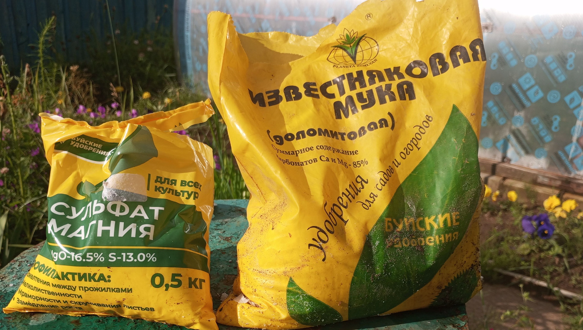 фото автора: магний полнеее вносить в виде карбоната