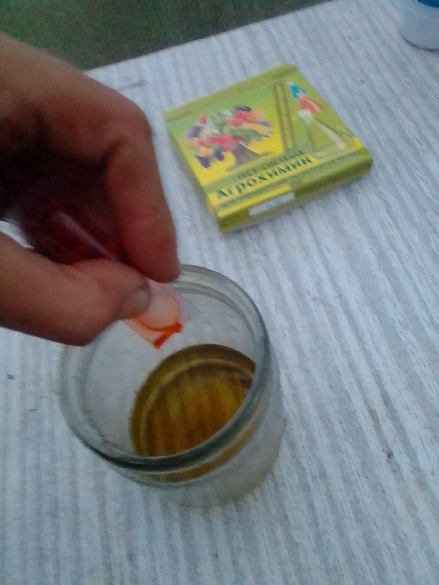 фото автора: для определения рН почвы выпускают тест комплекты 