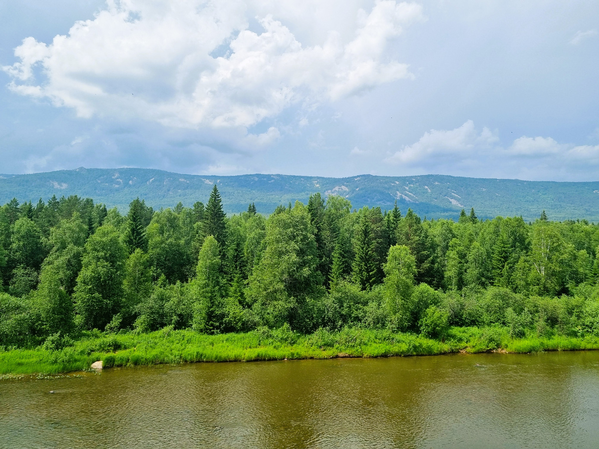 Вид на Зигальгу со смотровой площадки. Фото автора