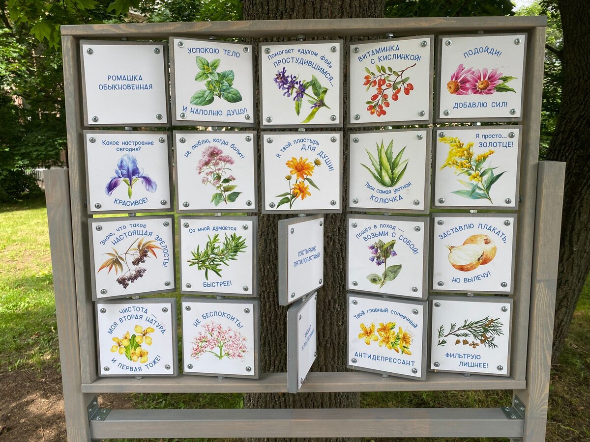 Фото: Леля Голованова