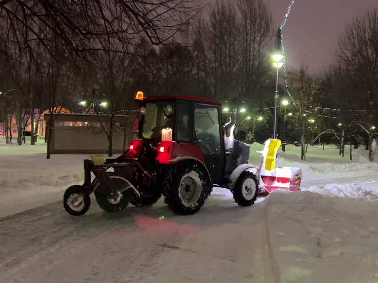    Фото пресс-службы администрации Томска Ольга Шмырева