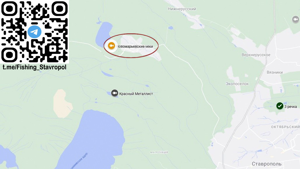 Платная рыбалка водоем  "Новомарьевские чеки"