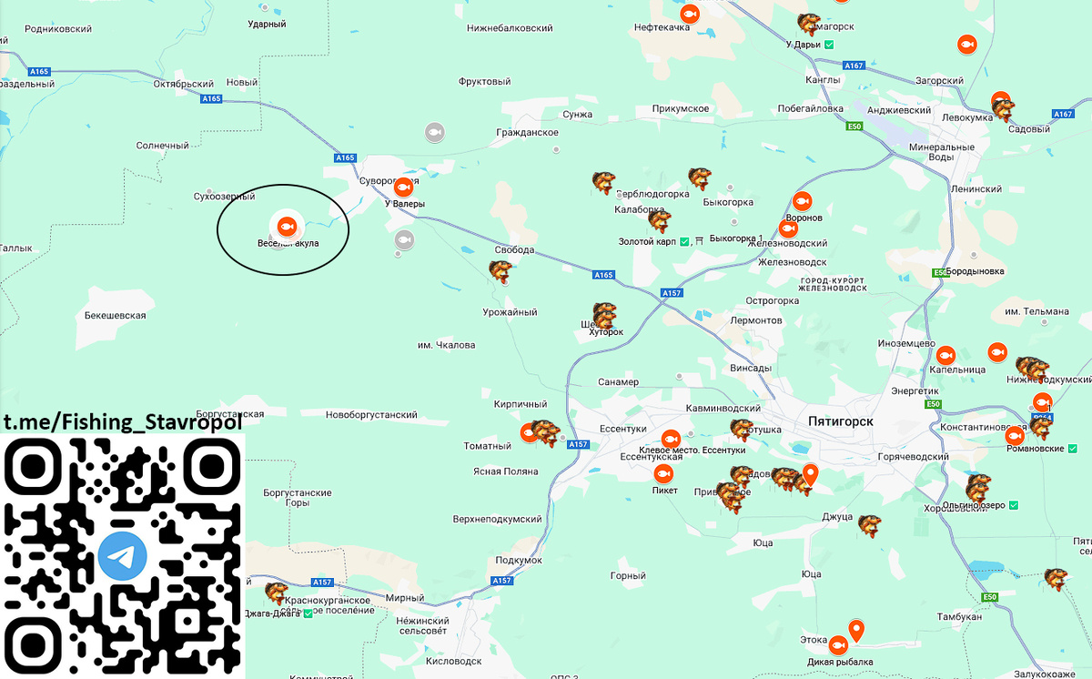 Платная рыбалка ВЕСЕЛАЯ АКУЛА