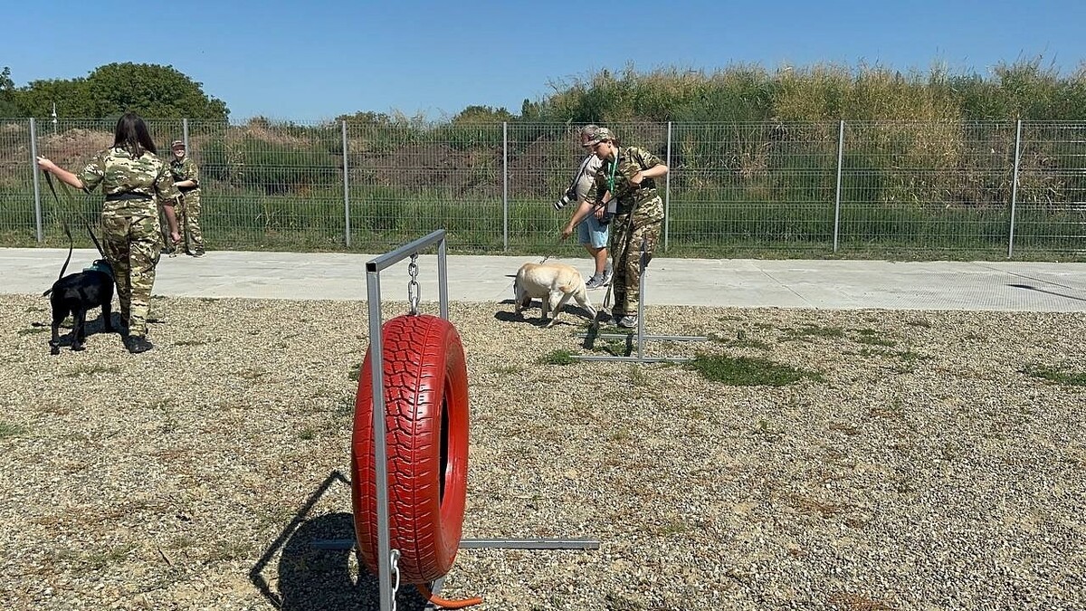    Фото: телеканал «Краснодар»