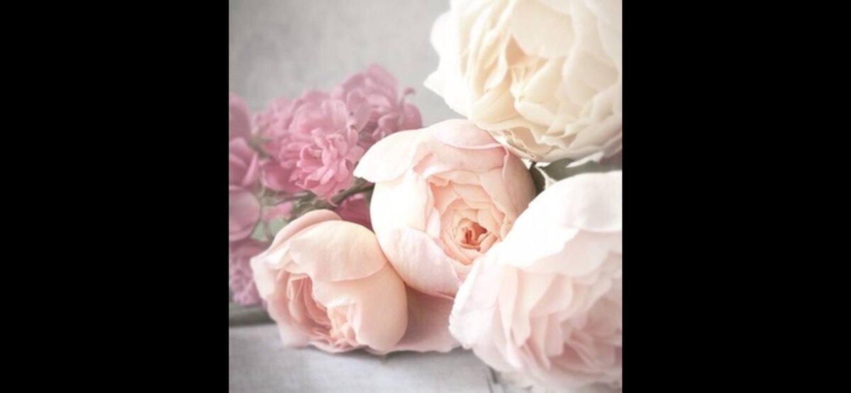 Фото из глубин интернета. Как иллюстрация  