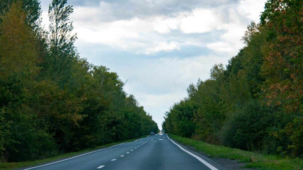    Фото: Svetlana Vozmilova/Globallookpress