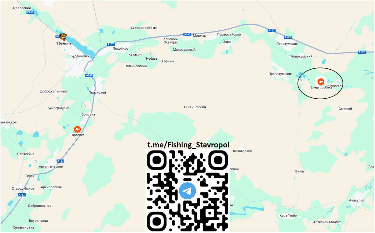 Платная рыбалка ВЛАДИМИРОВКА