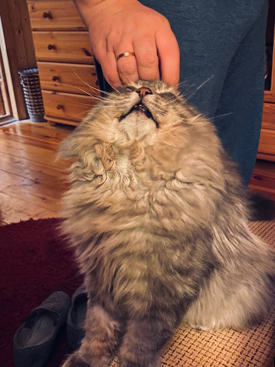 Муж утешает Филю, рассказывая, что ничего страшного за окном нет. Везде фото автора.