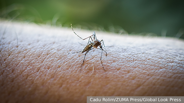     Фото: Cadu Rolim/ZUMA Press/Global Look Press   
 Текст: Татьяна Косолапова