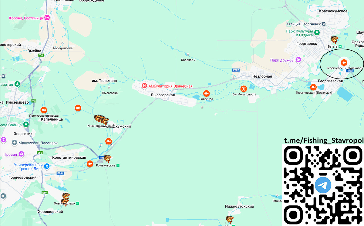 Платная рыбалка ГЕОРГИЕВСКАЯ (Чуреково)