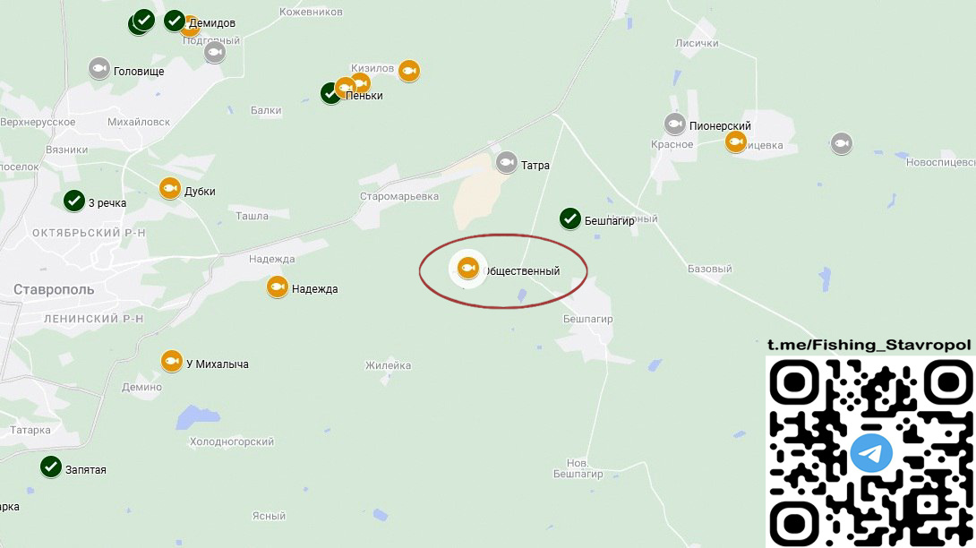 Платная рыбалка водоем Общественный пруд