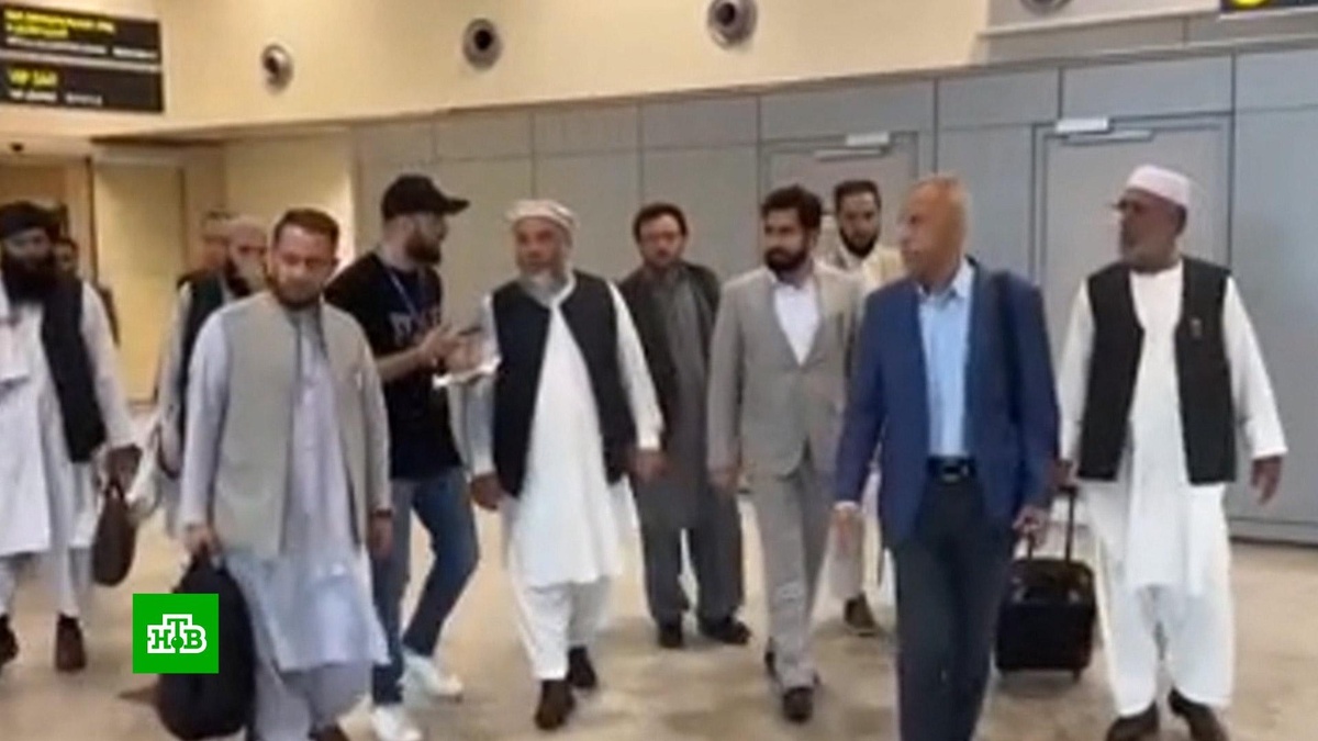    В России приостановили запрет деятельности движения «Талибан»