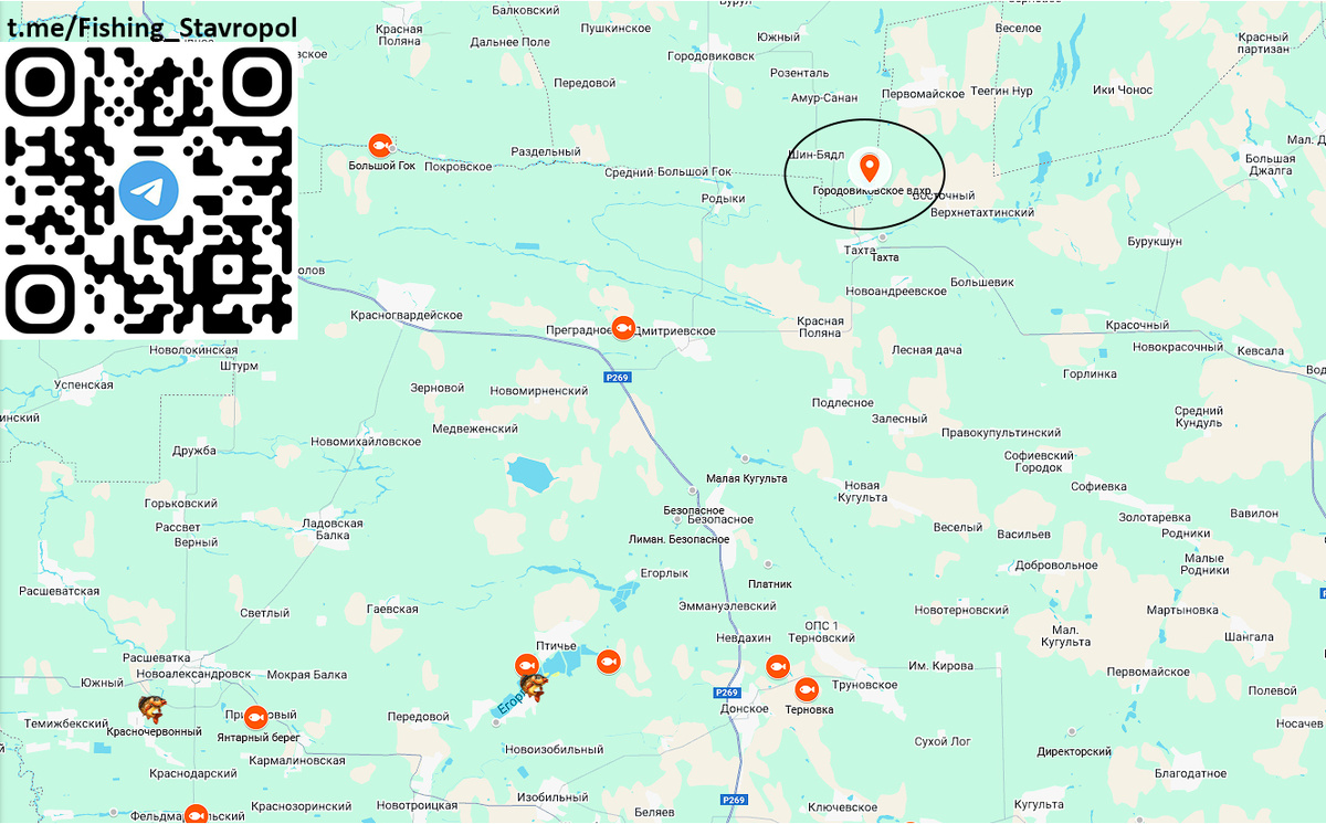 Платная рыбалка Городавинское водохранилище