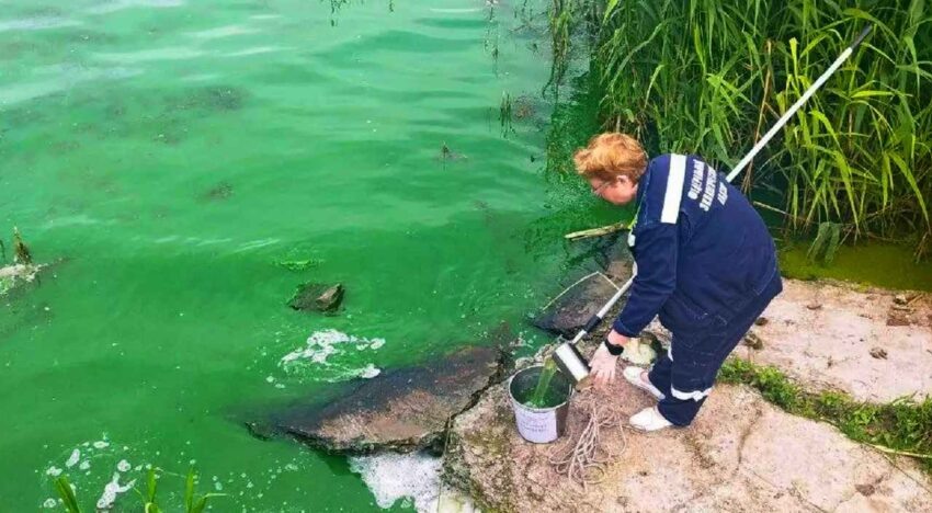    Минприроды Воронежской области.