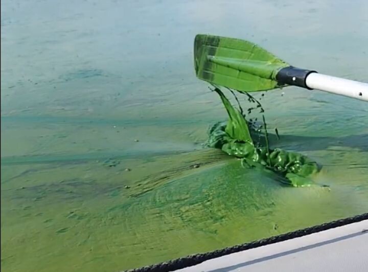    Фото: кадр из видео