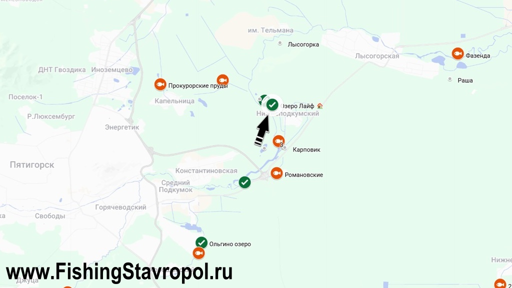 Платная рыбалка водоем "Озеро Лайф"